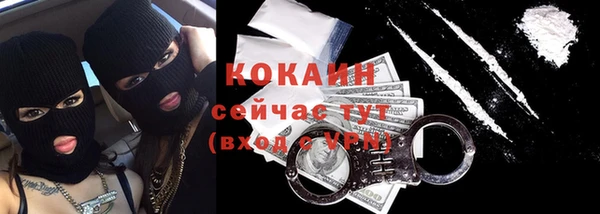 хмурый Белокуриха