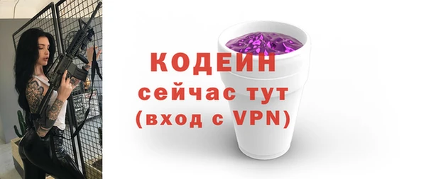 хмурый Белокуриха