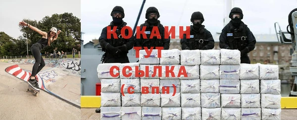 шишки Баксан