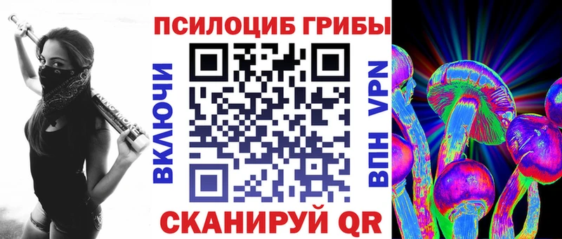 купить наркоту Кущёвская Псилоцибиновые грибы прущие грибы